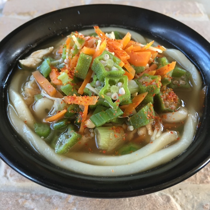 オクラとえのきと鶏うどん♪